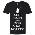 T-Shirts Black / X-Small Keep Calm You Shall Not Pass Men's Premium V-Neck
