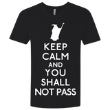 T-Shirts Black / X-Small Keep Calm You Shall Not Pass Men's Premium V-Neck