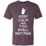 T-Shirts Vintage Purple / S Keep Calm You Shall Not Pass Men's Triblend T-Shirt