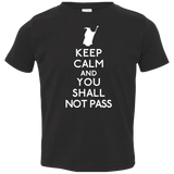 T-Shirts Black / 2T Keep Calm You Shall Not Pass Toddler Premium T-Shirt