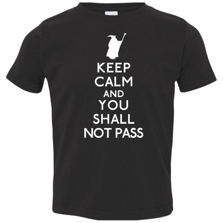 T-Shirts Black / 2T Keep Calm You Shall Not Pass Toddler Premium T-Shirt