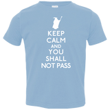 T-Shirts Light Blue / 2T Keep Calm You Shall Not Pass Toddler Premium T-Shirt