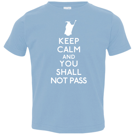 T-Shirts Light Blue / 2T Keep Calm You Shall Not Pass Toddler Premium T-Shirt