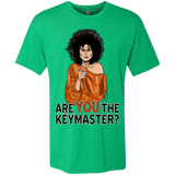 T-Shirts Envy / Small Keymaster Men's Triblend T-Shirt