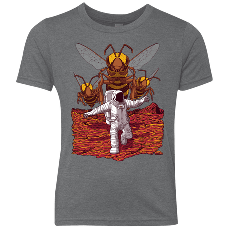 T-Shirts Premium Heather / YXS Killer Bees on Mars Youth Triblend T-Shirt