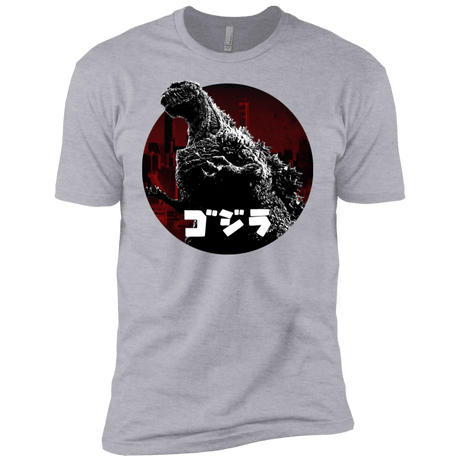 T-Shirts Heather Grey / YXS King Of The City Boys Premium T-Shirt
