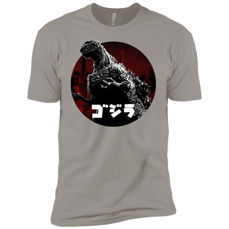 T-Shirts Light Grey / YXS King Of The City Boys Premium T-Shirt