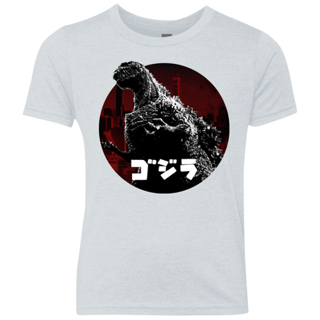 T-Shirts Heather White / YXS King Of The City Youth Triblend T-Shirt