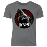 T-Shirts Premium Heather / YXS King Of The City Youth Triblend T-Shirt