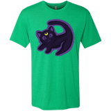 T-Shirts Envy / S Kitty Queen Men's Triblend T-Shirt