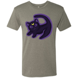 T-Shirts Venetian Grey / S Kitty Queen Men's Triblend T-Shirt