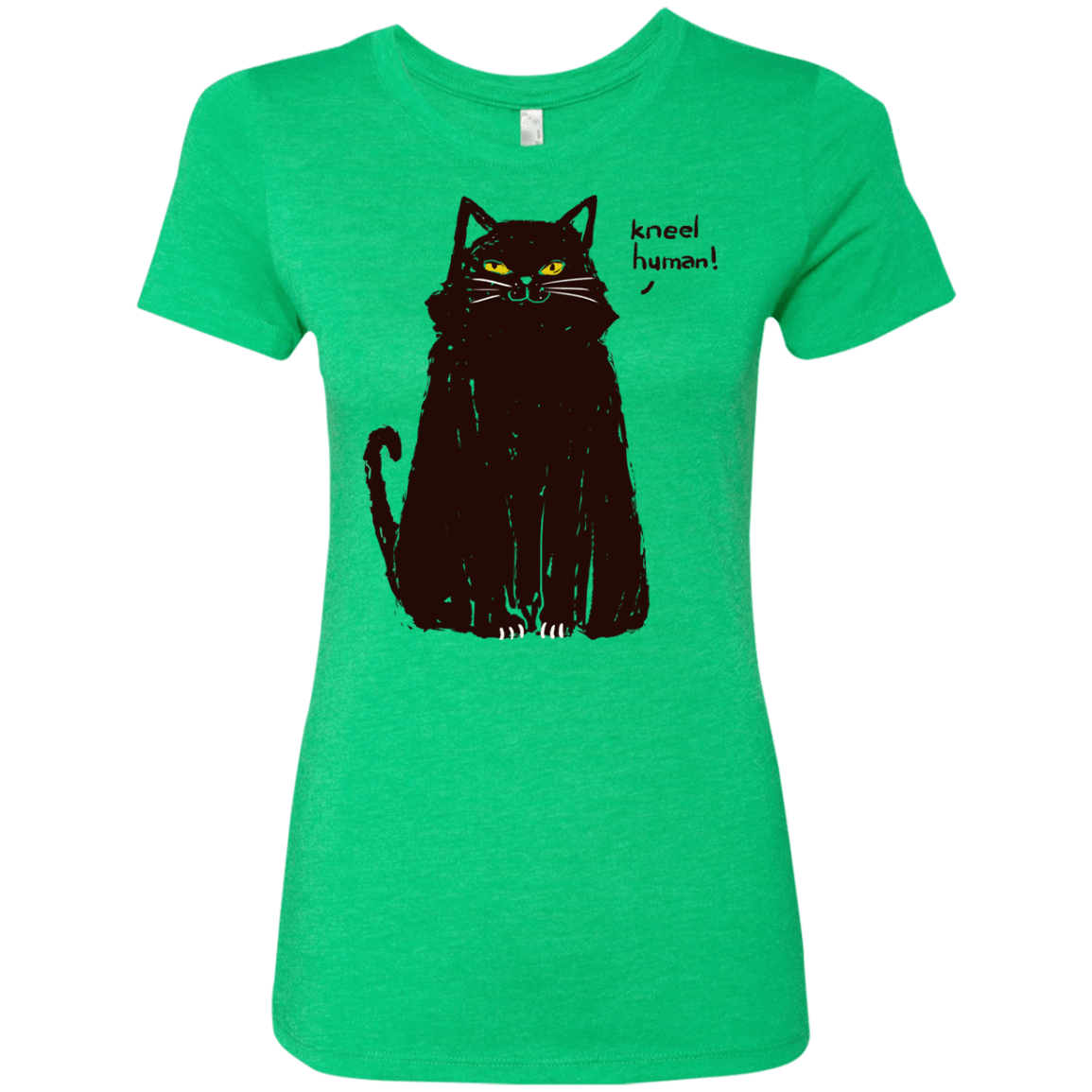 T-Shirts Envy / S Kneel Human! Women's Triblend T-Shirt