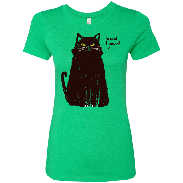 T-Shirts Envy / S Kneel Human! Women's Triblend T-Shirt