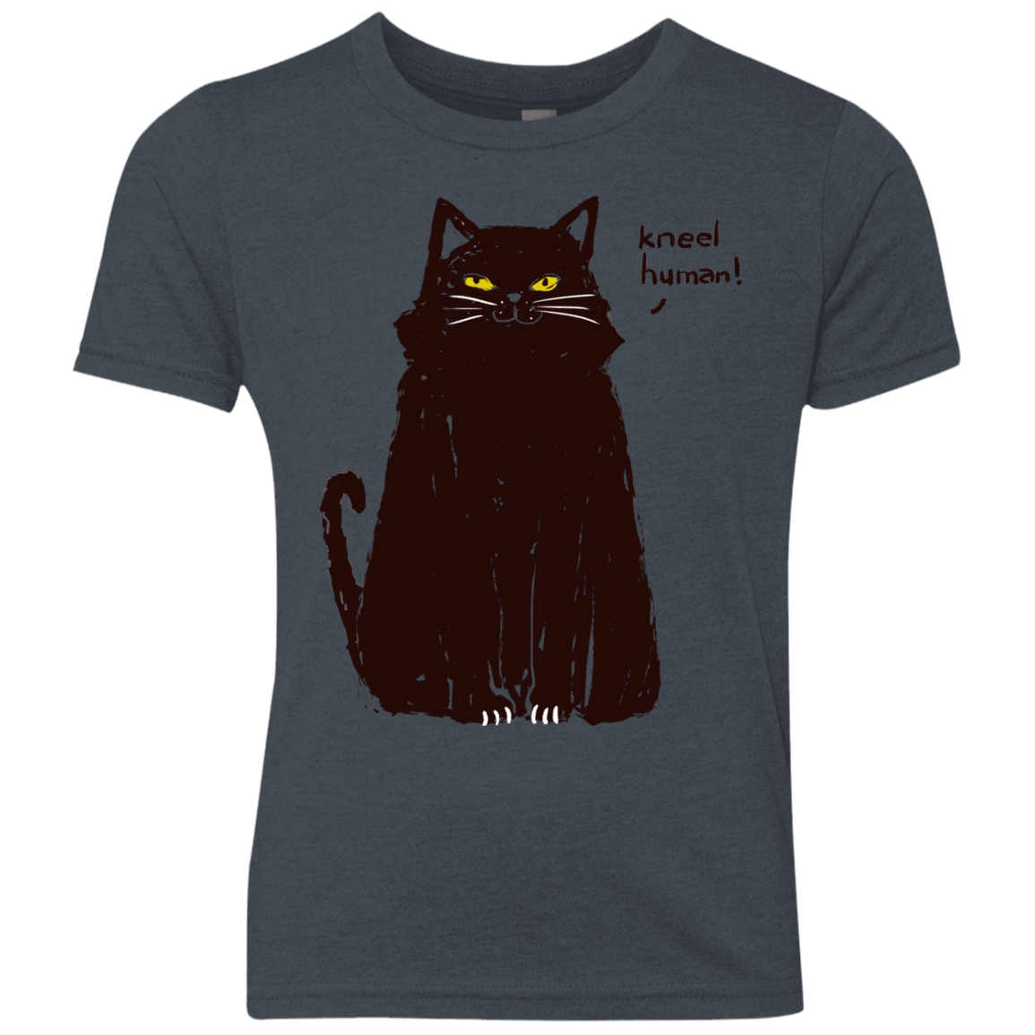 Kneel Human! Youth Triblend T-Shirt