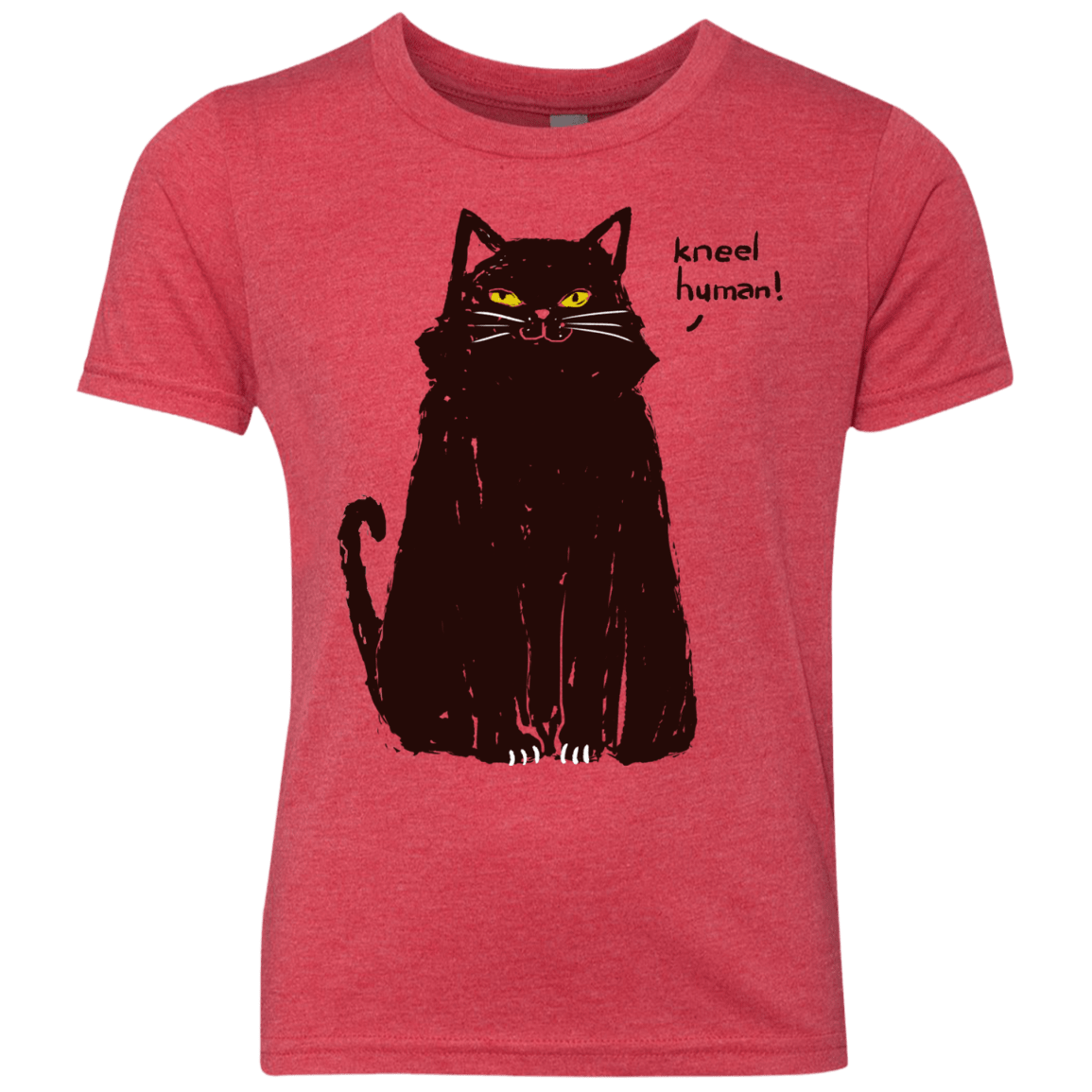 Kneel Human! Youth Triblend T-Shirt
