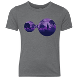 T-Shirts Premium Heather / YXS Knowledge Youth Triblend T-Shirt