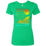 T-Shirts Envy / S Landscape Painted With Tea Women's Triblend T-Shirt