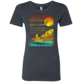 T-Shirts Vintage Navy / S Landscape Painted With Tea Women's Triblend T-Shirt