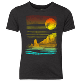 T-Shirts Vintage Black / YXS Landscape Painted With Tea Youth Triblend T-Shirt
