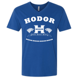 T-Shirts Royal / X-Small Language Academy Men's Premium V-Neck