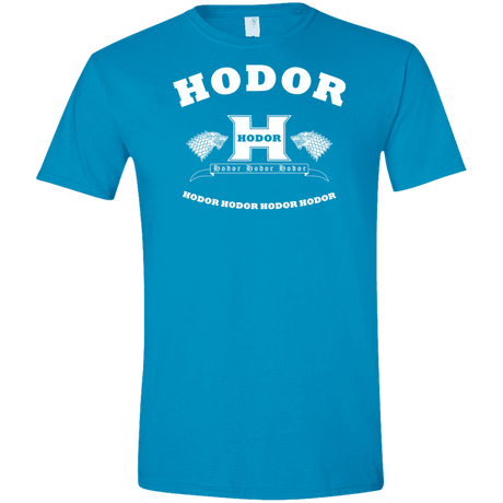 T-Shirts Sapphire / S Language Academy Men's Semi-Fitted Softstyle