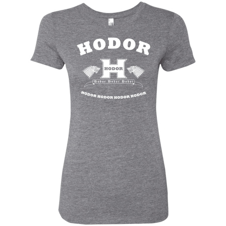T-Shirts Premium Heather / S Language Academy Women's Triblend T-Shirt
