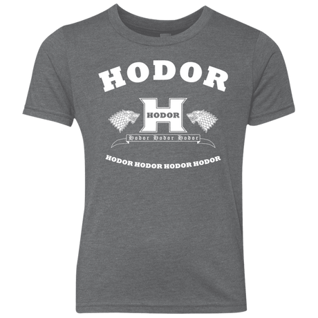 T-Shirts Premium Heather / YXS Language Academy Youth Triblend T-Shirt