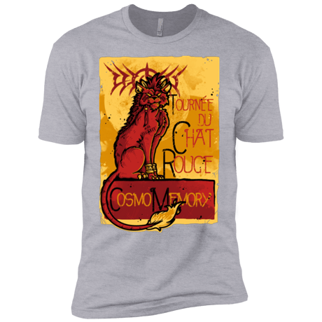 T-Shirts Heather Grey / YXS LE CHAT ROUGE Boys Premium T-Shirt