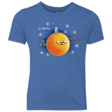 T-Shirts Vintage Royal / YXS Le Petit Finn Youth Triblend T-Shirt