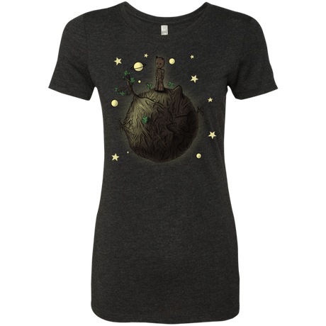 T-Shirts Vintage Black / S Le Petit Groot Women's Triblend T-Shirt