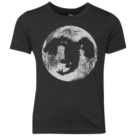T-Shirts Vintage Black / YXS Legends Power Youth Triblend T-Shirt
