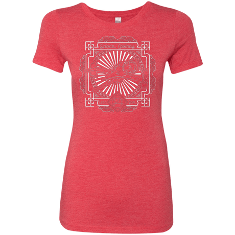 T-Shirts Vintage Red / Small Lets Jam 2 Women's Triblend T-Shirt