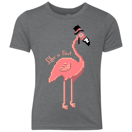 T-Shirts Premium Heather / YXS LikeASir Flamingo Youth Triblend T-Shirt