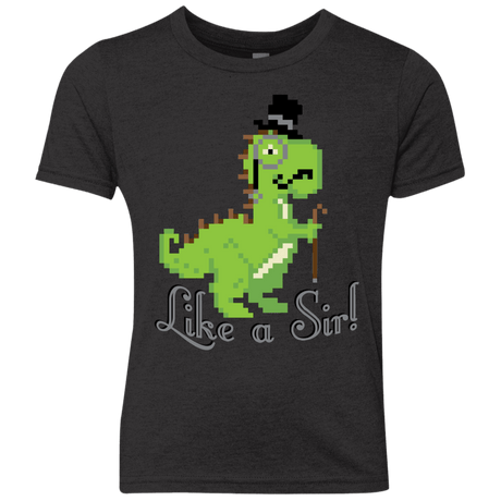 T-Shirts Vintage Black / YXS LikeASir T-Rex Youth Triblend T-Shirt
