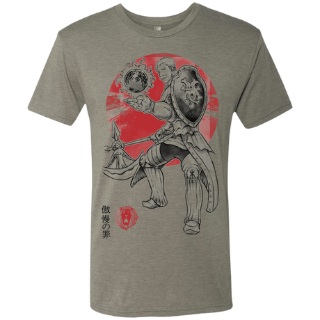 T-Shirts Venetian Grey / S Lion Pride Men's Triblend T-Shirt