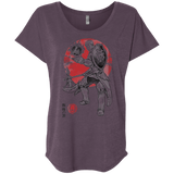 T-Shirts Vintage Purple / X-Small Lion Pride Triblend Dolman Sleeve