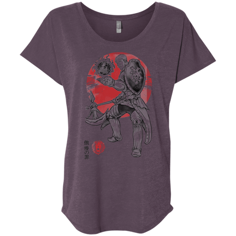 T-Shirts Vintage Purple / X-Small Lion Pride Triblend Dolman Sleeve