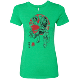T-Shirts Envy / S Lion Pride Women's Triblend T-Shirt