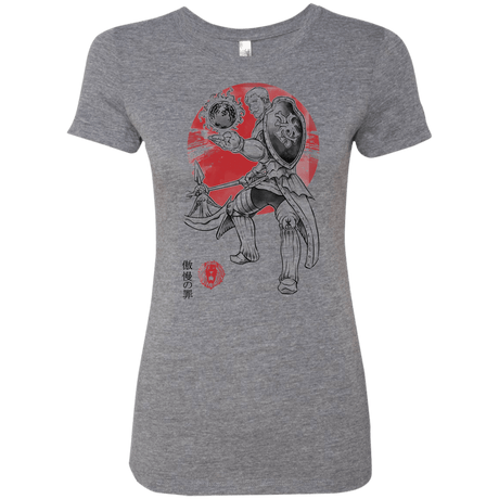 T-Shirts Premium Heather / S Lion Pride Women's Triblend T-Shirt