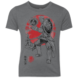 T-Shirts Premium Heather / YXS Lion Pride Youth Triblend T-Shirt