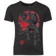 T-Shirts Vintage Black / YXS Lion Pride Youth Triblend T-Shirt