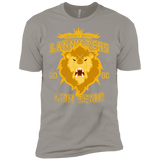 T-Shirts Light Grey / YXS Lion Team Boys Premium T-Shirt