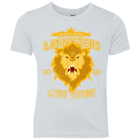 T-Shirts Heather White / YXS Lion Team Youth Triblend T-Shirt