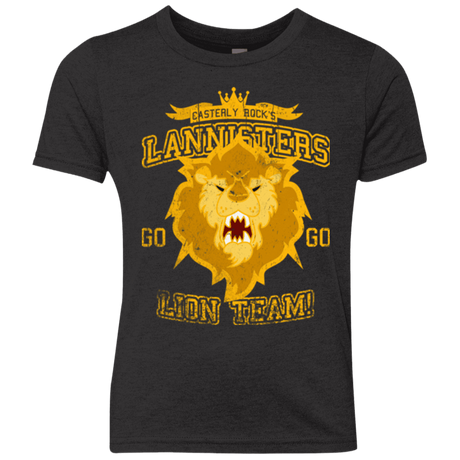 T-Shirts Vintage Black / YXS Lion Team Youth Triblend T-Shirt
