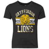 T-Shirts Vintage Black / YXS Lions Youth Triblend T-Shirt