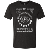 T-Shirts Vintage Black / Small Lord of Hot Sauces Men's Triblend T-Shirt
