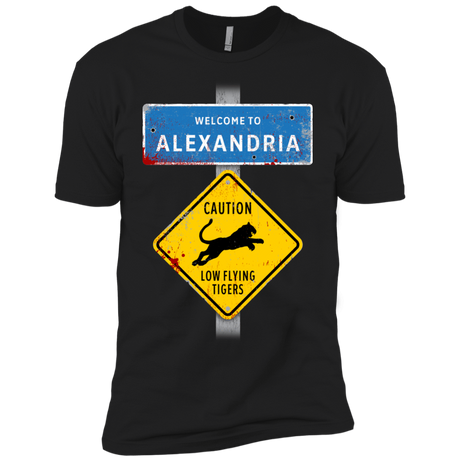 T-Shirts Black / YXS Low Flying Tigers Boys Premium T-Shirt