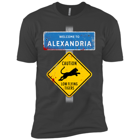 T-Shirts Heavy Metal / YXS Low Flying Tigers Boys Premium T-Shirt