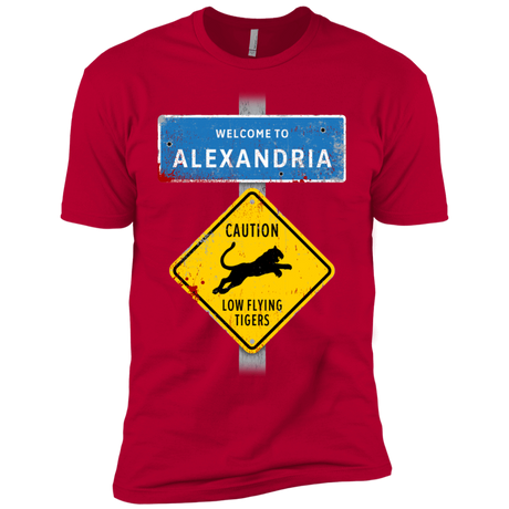 T-Shirts Red / YXS Low Flying Tigers Boys Premium T-Shirt