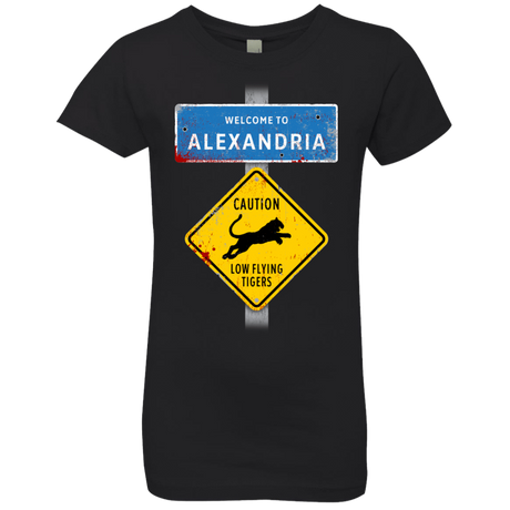 T-Shirts Black / YXS Low Flying Tigers Girls Premium T-Shirt